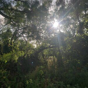 Meet your Posher, Dipodomys